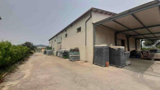 Immobile in asta di 1 m² con più di 5 locali in vendita a Oliena - Foto 3