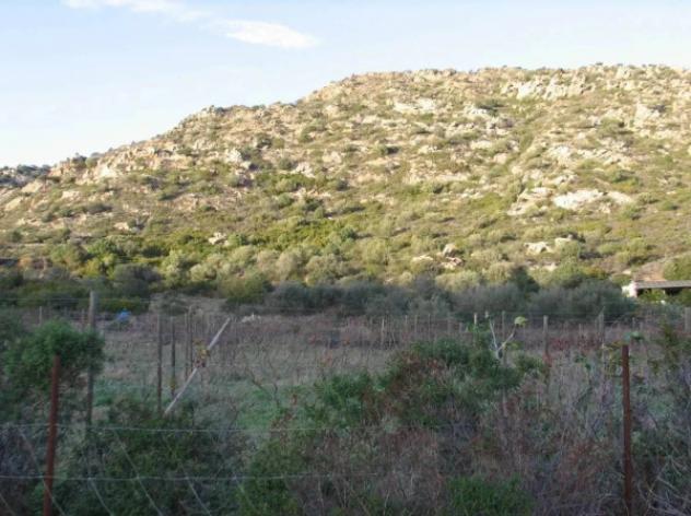 Immobile in asta di 3588 m² in vendita a Ilbono - Foto 7