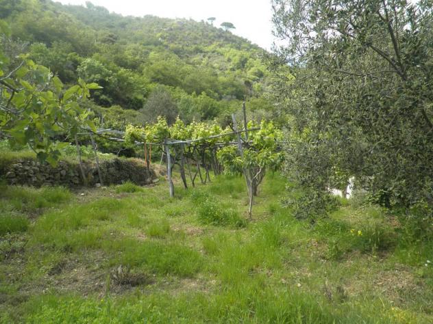 grande rustico vista mare con terreno - Foto 14