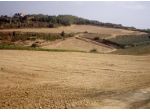 Terreno agricolo in vendita a Casciana Terme Lari 155000 mq  Rif: 1275758