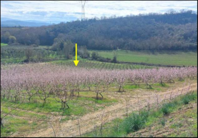 Immobile in asta di 51760 m² in vendita a Altomonte - Foto 10