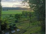 Terreno agricolo in vendita a Poggibonsi 3500 mq  Rif: 1335508