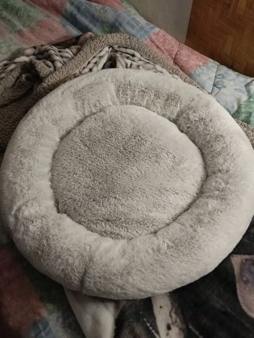 Cuccia gatto - Foto 2