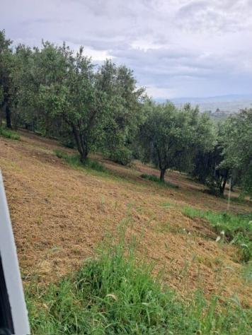 Terreno edificabile in vendita a Colonnella - Foto 9