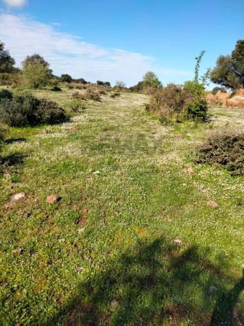 Terreno in vendita a Francofonte - Foto 9