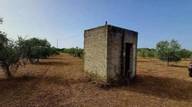Immobile in asta di 277110 m² in vendita a Gioia Tauro - Foto 10