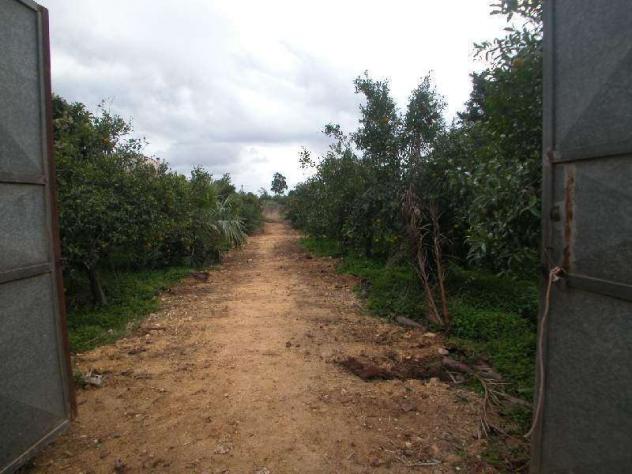 V923 - In vendita a Marsala terreno con progetto, perif. - Foto 4