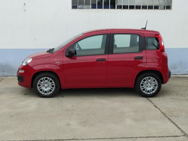FIAT Panda 1.0 Hybrid CBC - Foto 9