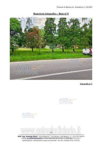 IMMOBILI-ALTRA CATEGORIA-Strada Provinciale Viadana - Foto 2