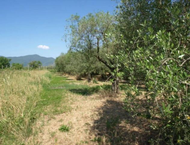 Immobile in asta di 5649 m² in vendita a Fonni - Foto 2