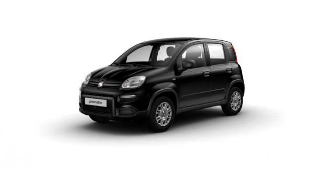 FIAT Panda 1.0 FireFly S&amp;S Hybrid rif. 22162109
