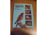 The Dictionary of BIRDS in color