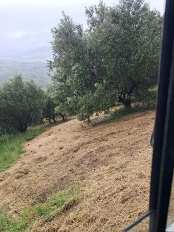 Terreno edificabile in vendita a Colonnella - Foto 10