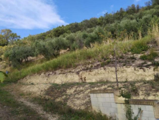 Immobile in asta di 16610 m² in vendita a Fermo - Foto 6