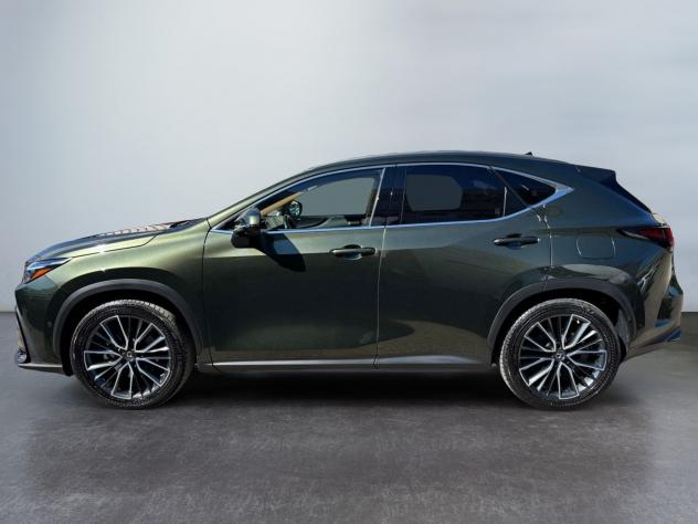Lexus NX Hybrid Luxury 4WD MY22 - Foto 4