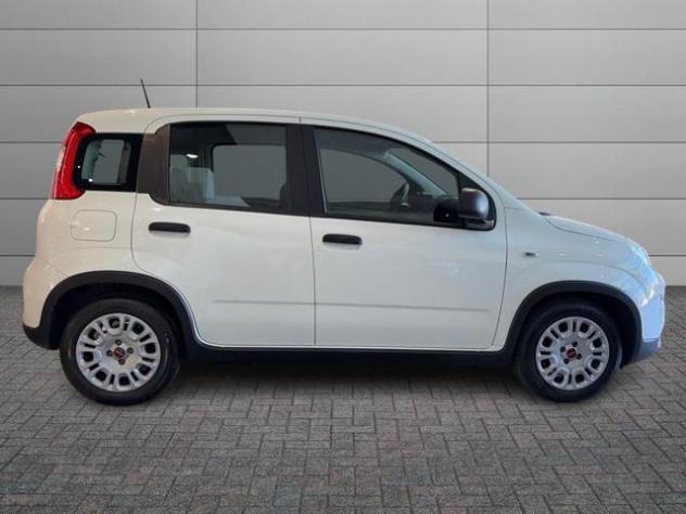 FIAT Panda 1.0 FireFly S&S Hybrid rif. 23919609 - Foto 3