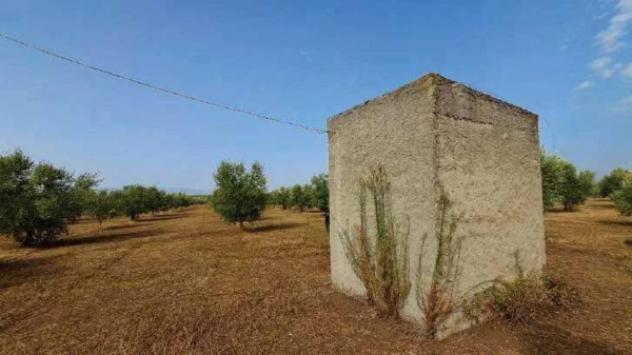 Immobile in asta di 277110 m² in vendita a Gioia Tauro - Foto 19
