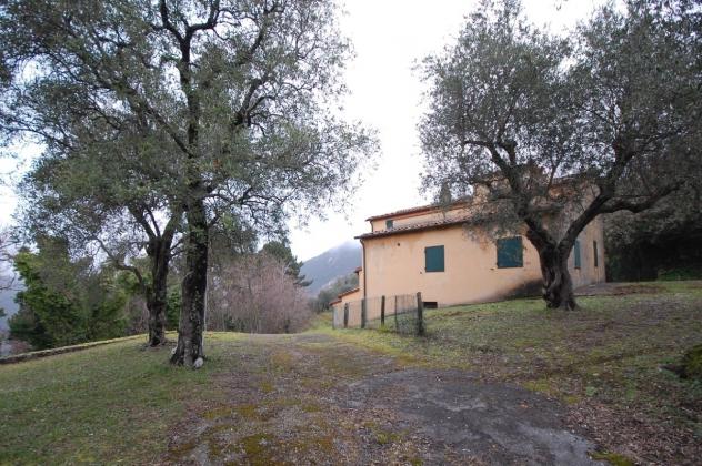 Rustico in vendita a Pietrasanta - Foto 4