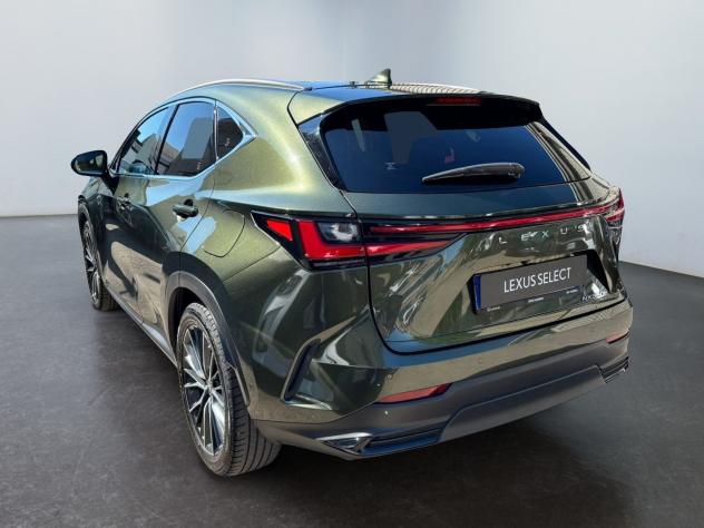 Lexus NX Hybrid Luxury 4WD MY22 - Foto 7
