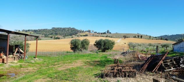 Casa singola in vendita a Cupi - Magliano in Toscana 250 mq Rif: 1245233 - Foto 6