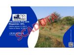 Immobile in asta di 2 m² in vendita a San Cipriano Po