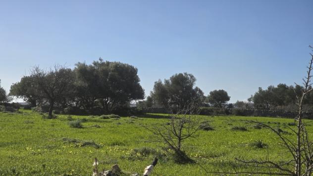 Agricolo in vendita a Siracusa - Foto 11