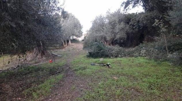Casa singola in vendita a Cefalù - Foto 17