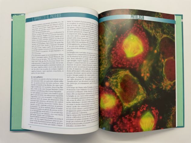 Il Problema delle neoplasie - Medica - De Agostini - 2003 - Tumori - Foto 2
