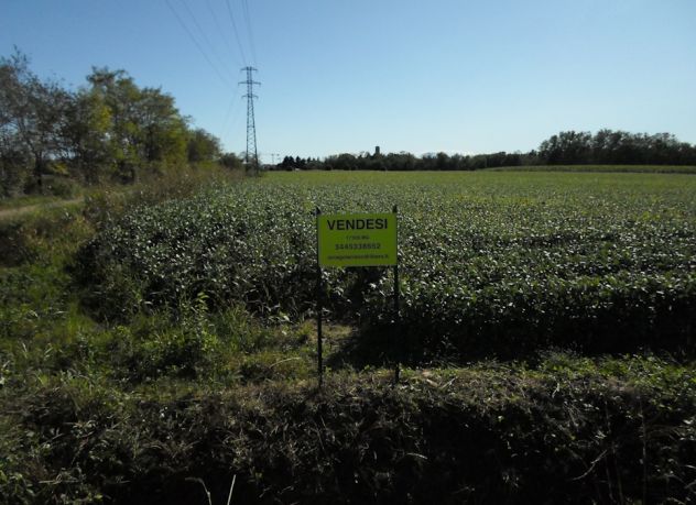 Terreno agricolo - Foto 4