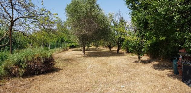 Rustico in vendita a Piombino 70 mq Rif: 1428596 - Foto 7