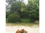 Tenuta Il Grifo