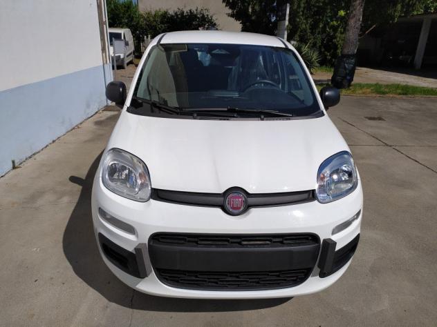 FIAT Pandina 65 Pandina hybrid Icon Promo CBC 5 - Foto 7