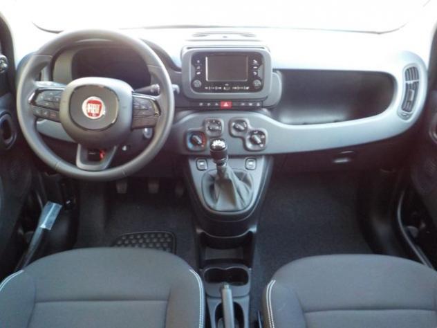 FIAT Panda MY25 - 1.0 FireFly Hybrid POP rif. 21599367 - Foto 7