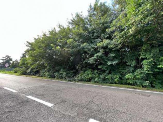 Immobile in asta di 14236 m² in vendita a Isola della Scala - Foto 6
