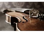 Lezioni di violino