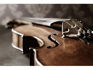 Lezioni di violino
