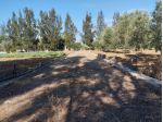 Terreno con 70 alberi d'ulivo