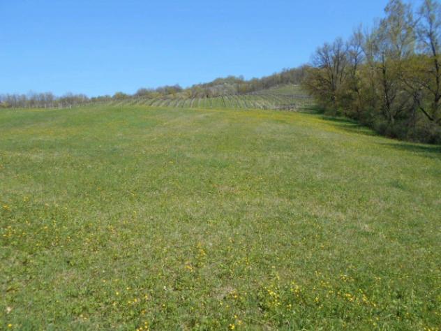 Immobile in asta di 10522 m² in vendita a Scandiano - Foto 6