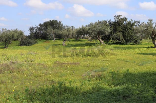 Terreno in vendita a Vittoria - Foto 2