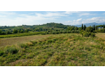 Terreno a Zimella - Rif. 951
