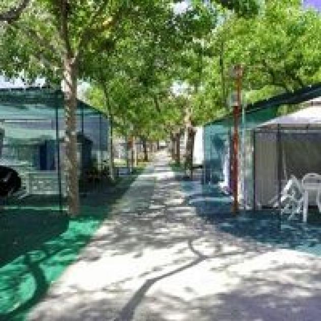 Camping Domus - Foto 2