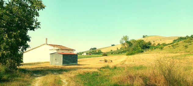 CASA DI CAMPAGNA immersa NEL VERDE con 6.200 mq. di TERRENO AGRICOLO - Foto 3
