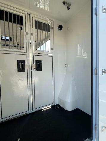 Renault Master Master 2.0 TD 170 CV HARAS ALLESTIMENTO STALLONI 3 POSTI CABINA - Foto 4