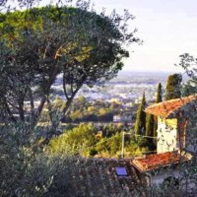 Villa Colle Olivi di Giampaolo Lucchesi - Foto 2