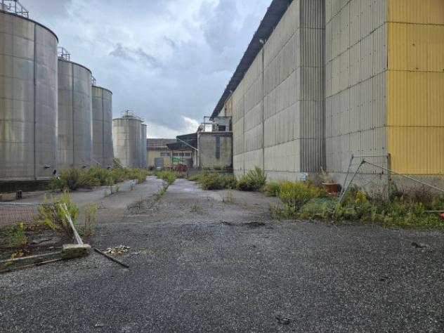 Immobile in asta di 7600 m² in vendita a Crespina e Lorenzana - Foto 5