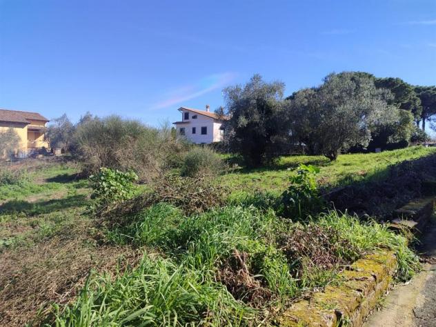 Terreno Edificabile - Rif. 2365 - Foto 9