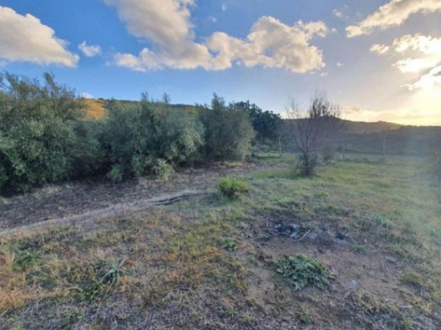 Immobile in asta di 37140 m² in vendita a Carlentini - Foto 7