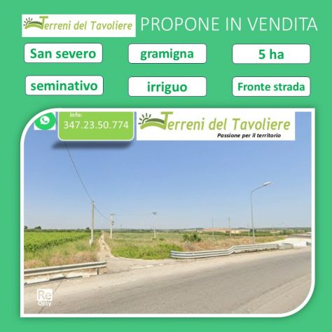 Terreno agricolo seminativo – Agro di San Severo (Loc. Torre Gramigna)