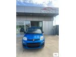 FIAT - Panda - 1.0 FireFly S&S Hybrid Launch Ed.