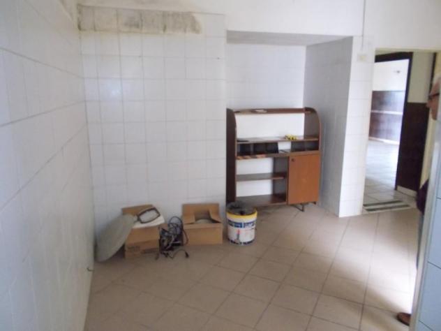 Struttura per uso commerciale in vendita a Migliarino - Vecchiano 180 mq Rif: 1394211 - Foto 5
